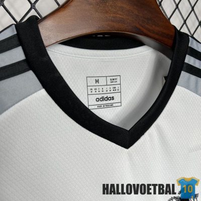 shirt-juventus-2024-2025-grijs-wit-training_hallovoetbal-2502252078_1.jpg