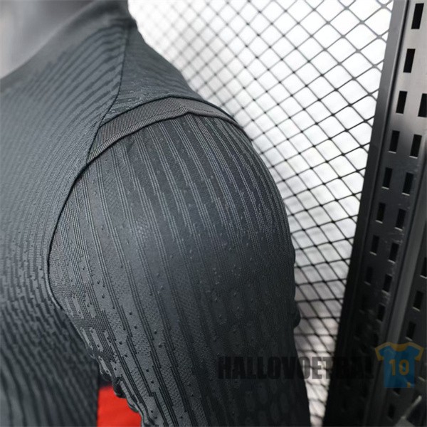 shirt engeland 2025-2026 uit speler versie lange mouwen - Afbeelding 5