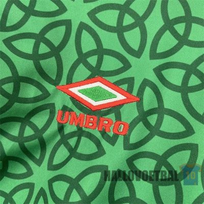 shirt-ierland-2025-2026-groen-edicion-speciale_hallovoetbal-2505092-281_1.jpg