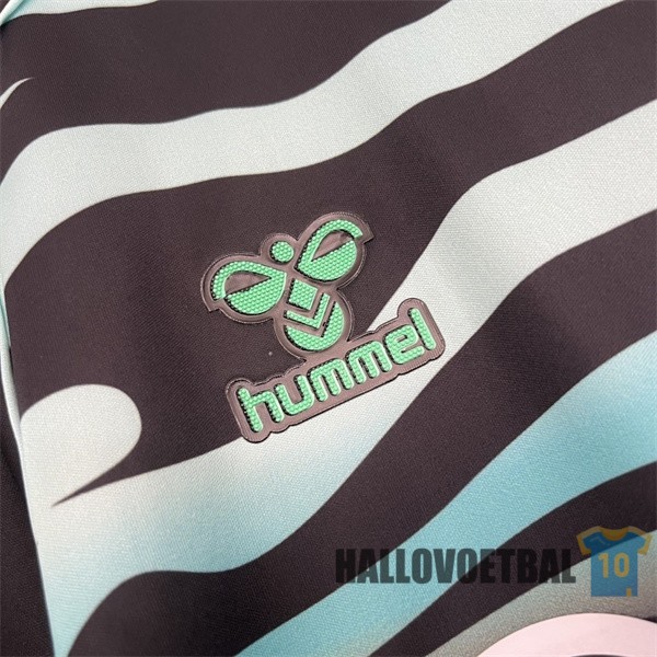 derde shirt real betis 2025-2026 - Afbeelding 3